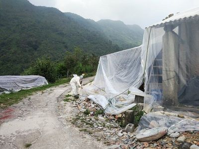 古建筑古材料熏蒸杀虫