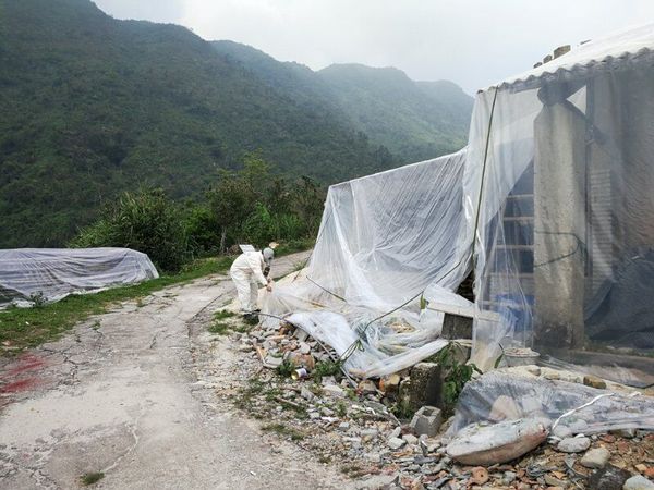 古建筑古材料熏蒸杀虫