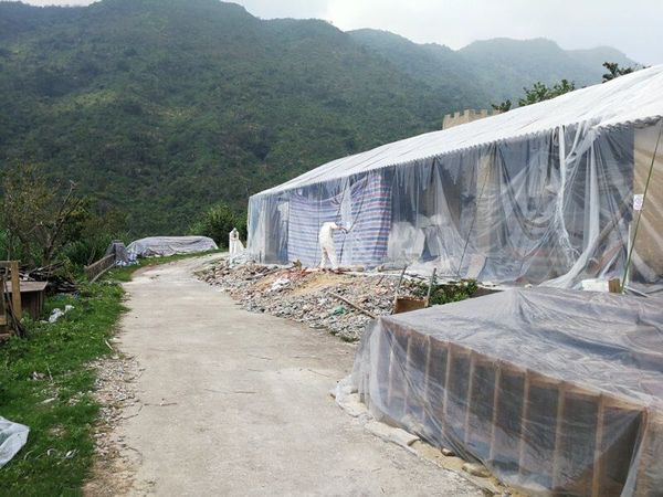 古建筑古材料熏蒸杀虫